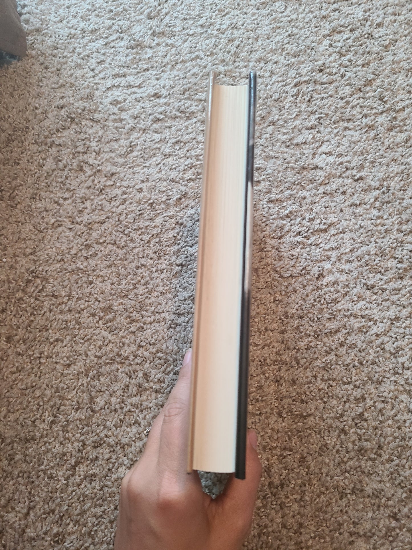 1st Bookclub Edition Cujo by Stephen King