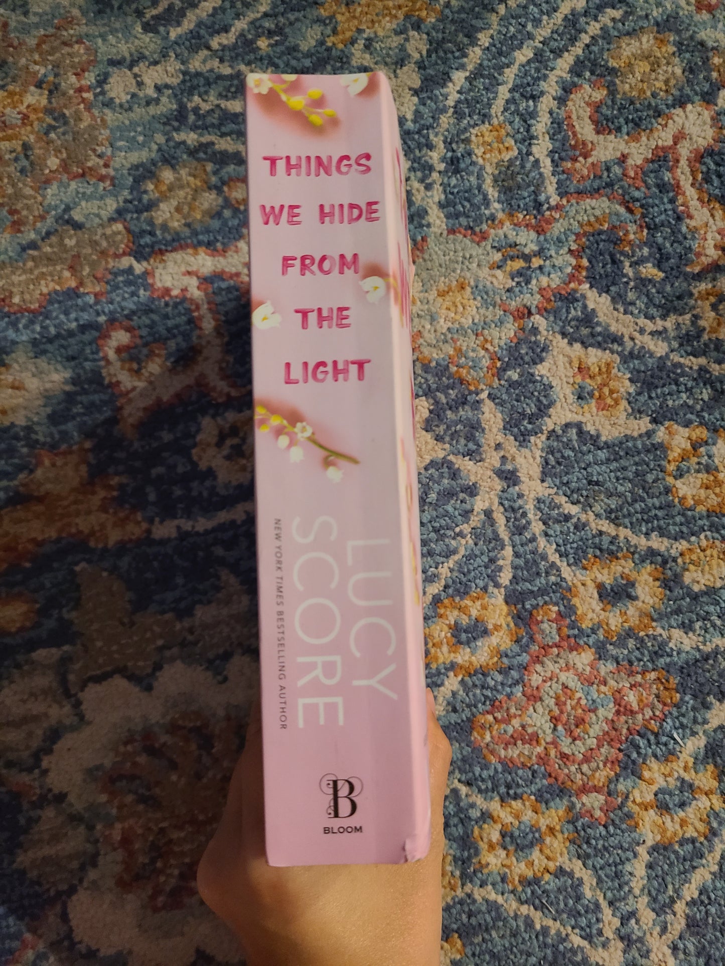 Things We Hide From The Light by Lucy Score