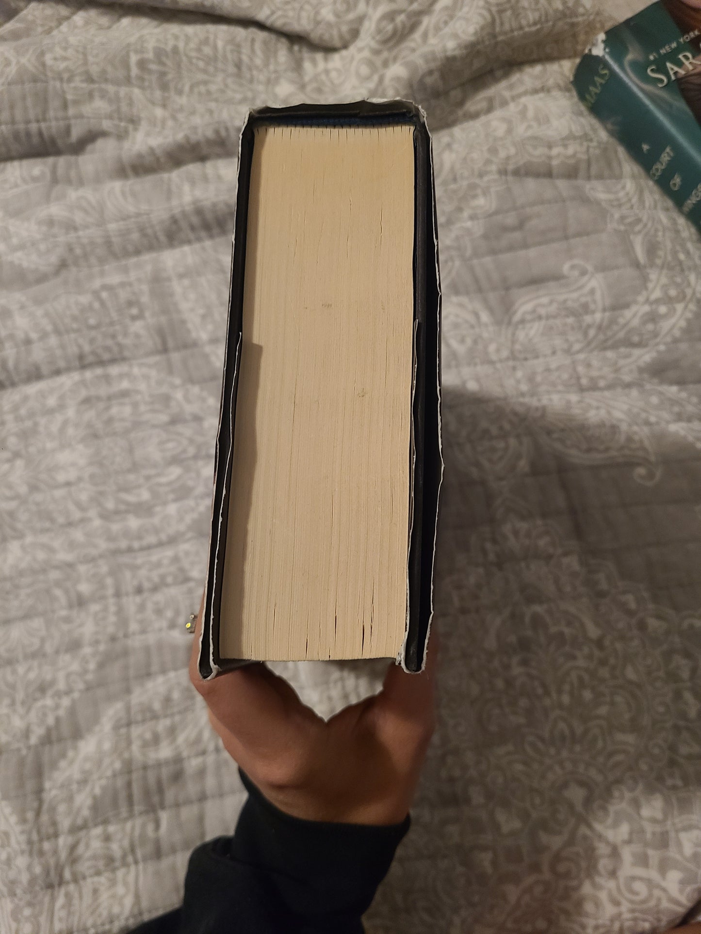 OOP ACOMAF Hardback