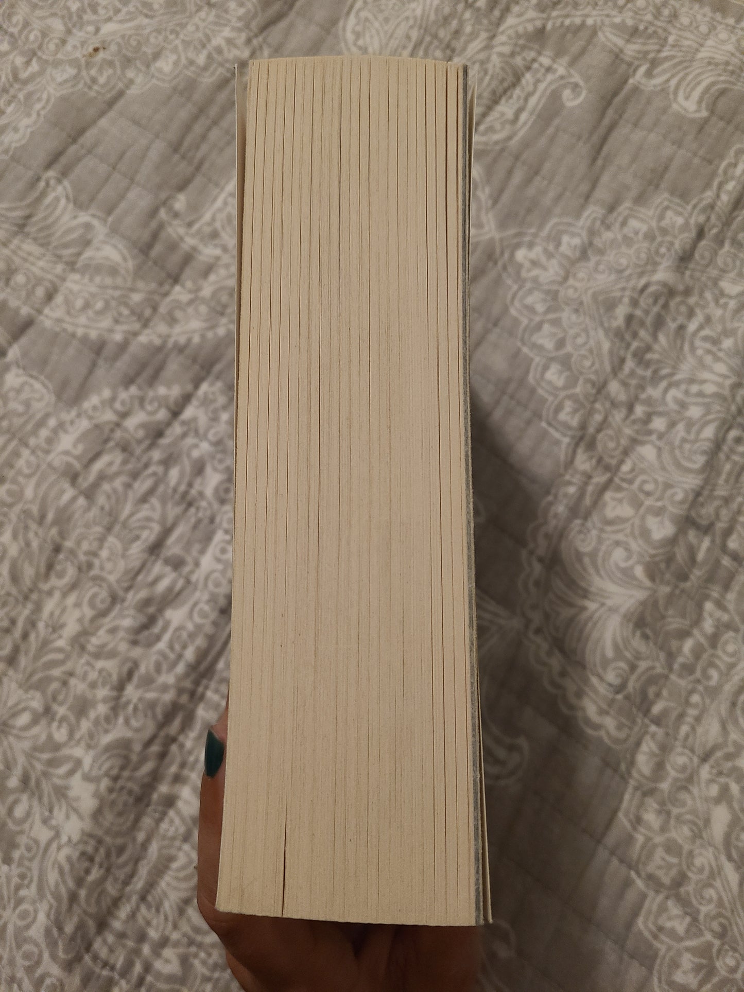 A Court of Wings and Ruin Paperback by Sarah J Maas