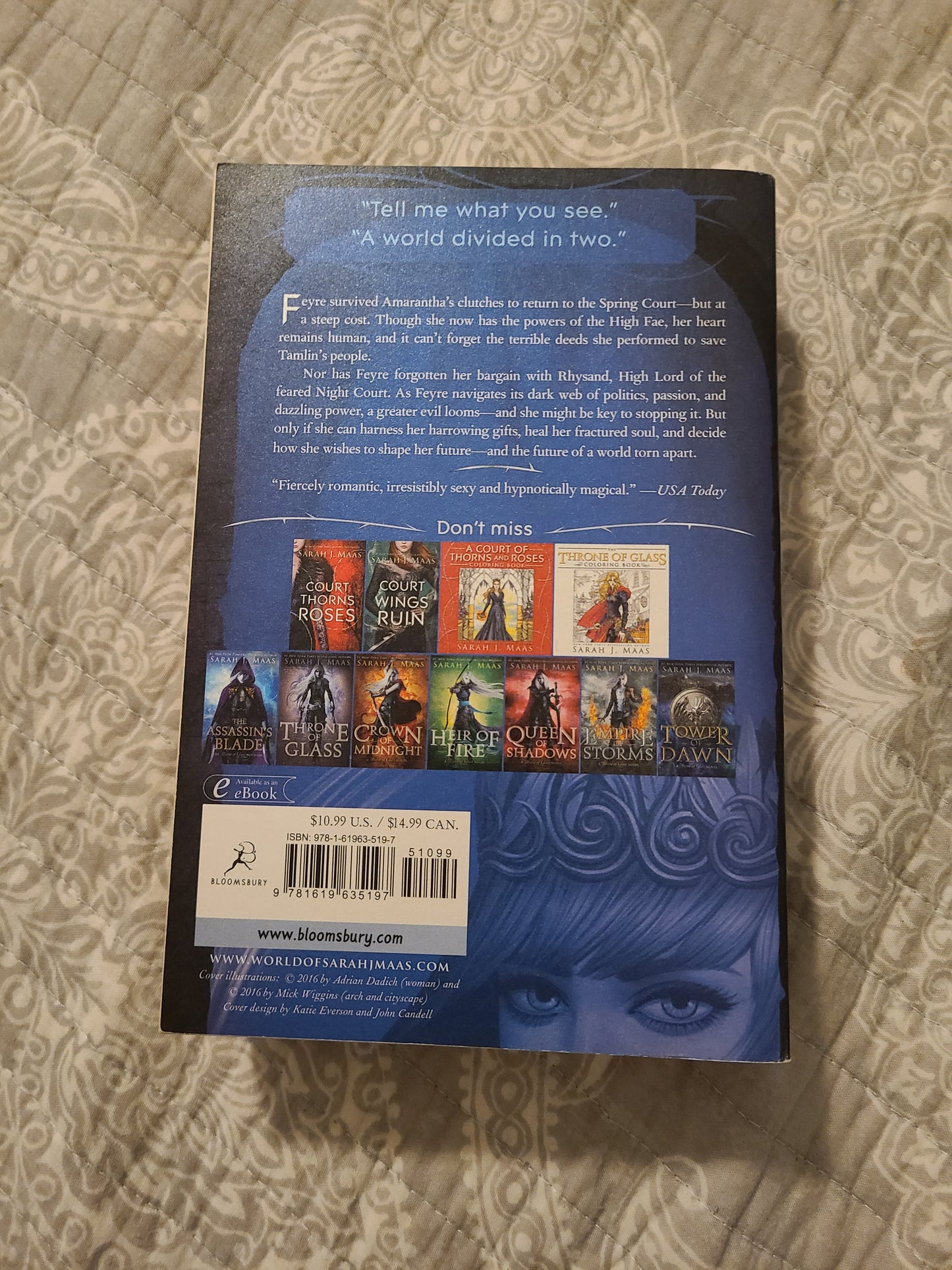 OOP A Court of Mist and Fury Paperback by Sarah J Maas