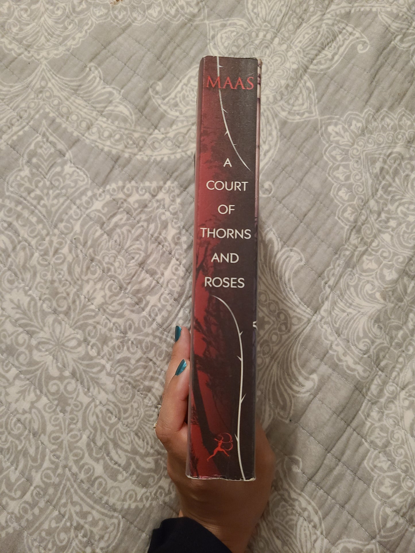 OOP A Court of Thornes and Roses Paperback by Sarah J Maas
