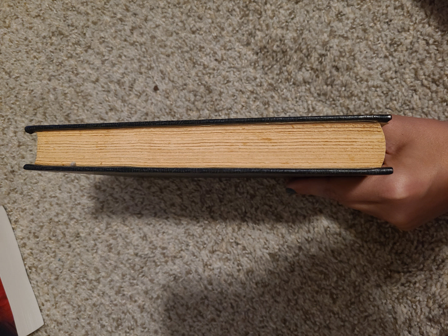 The Adventures of Huckleberry Finn by Mark Twain