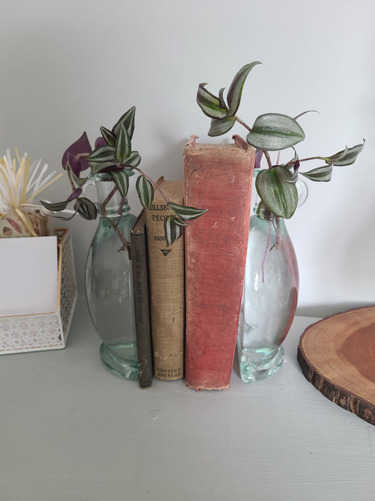 Plant Base Book Ends w/ Wandering Dude