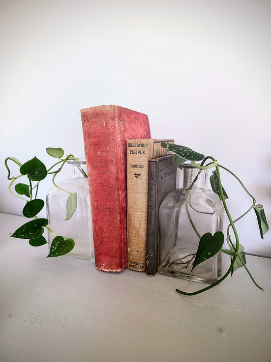 Plant Book Ends w/ Satin Pathos