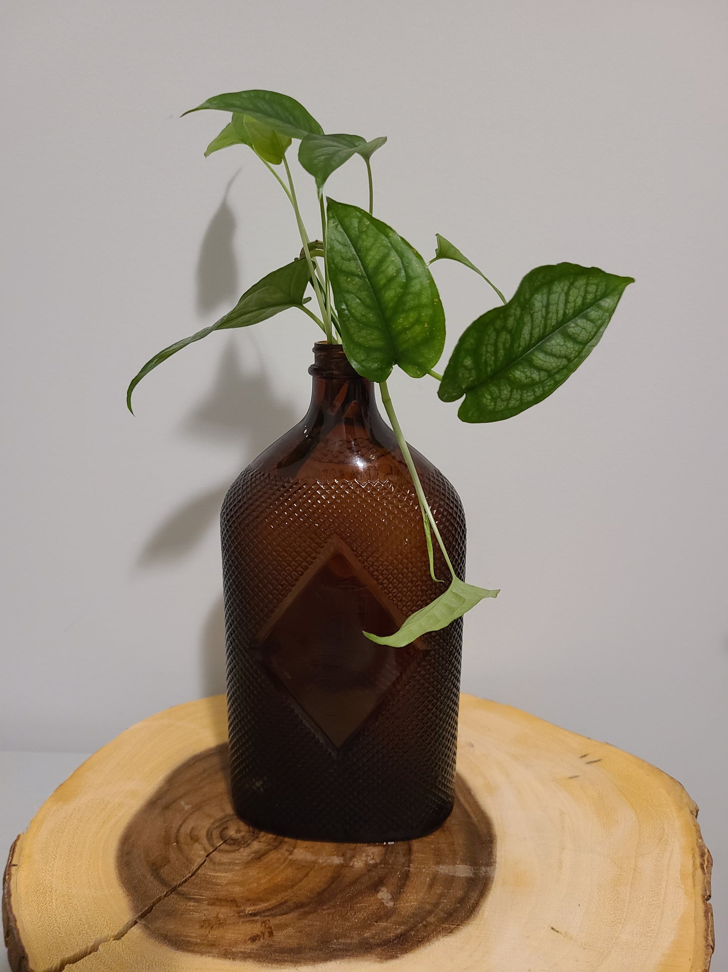 Prohibition Era Glass Distillery Amber Bottle