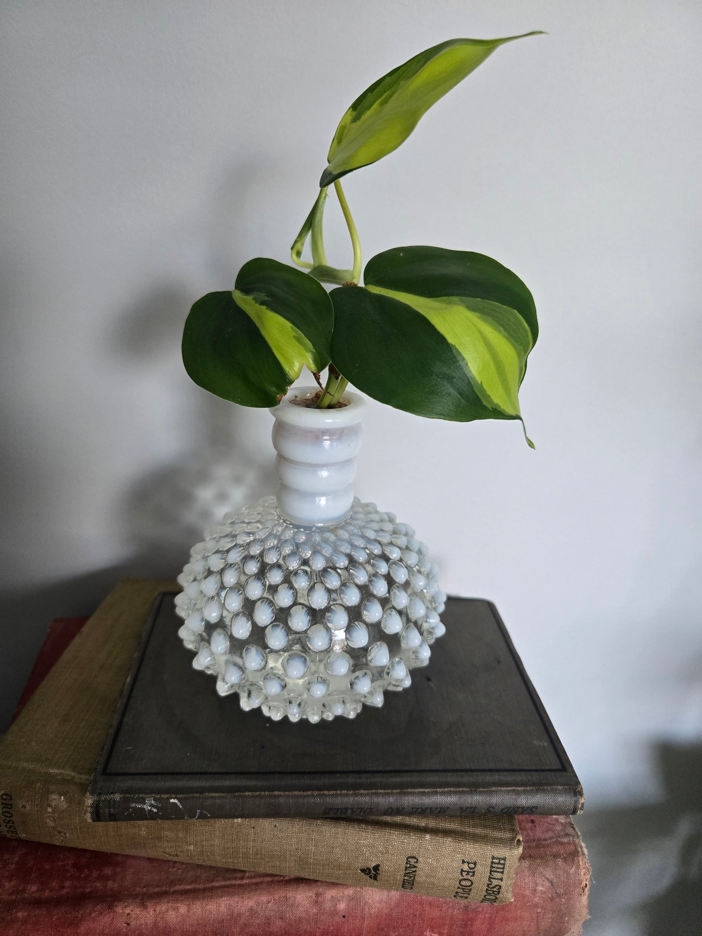 Plant Arrangements- Blown Glass Clear and White Fenton and Brazil Philodendron