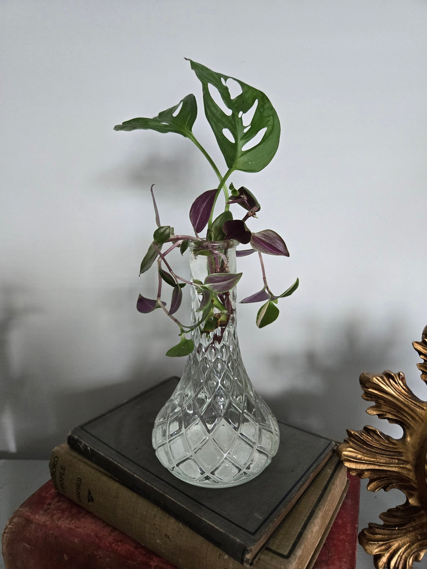 Plant Base Small