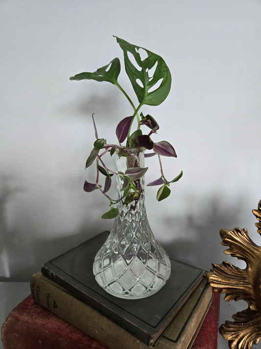 Plant Base Small