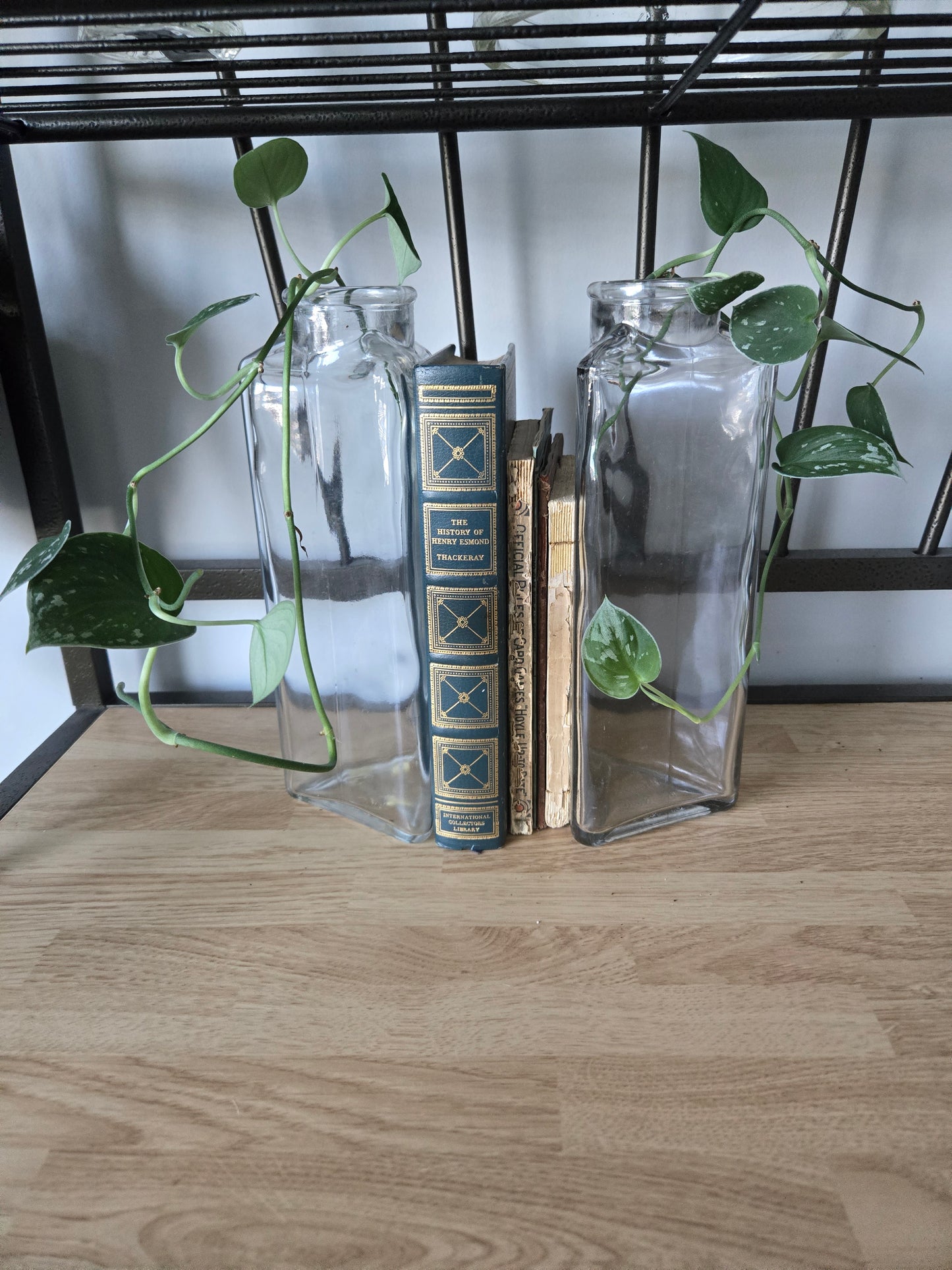 Plant Book Ends with Pathos