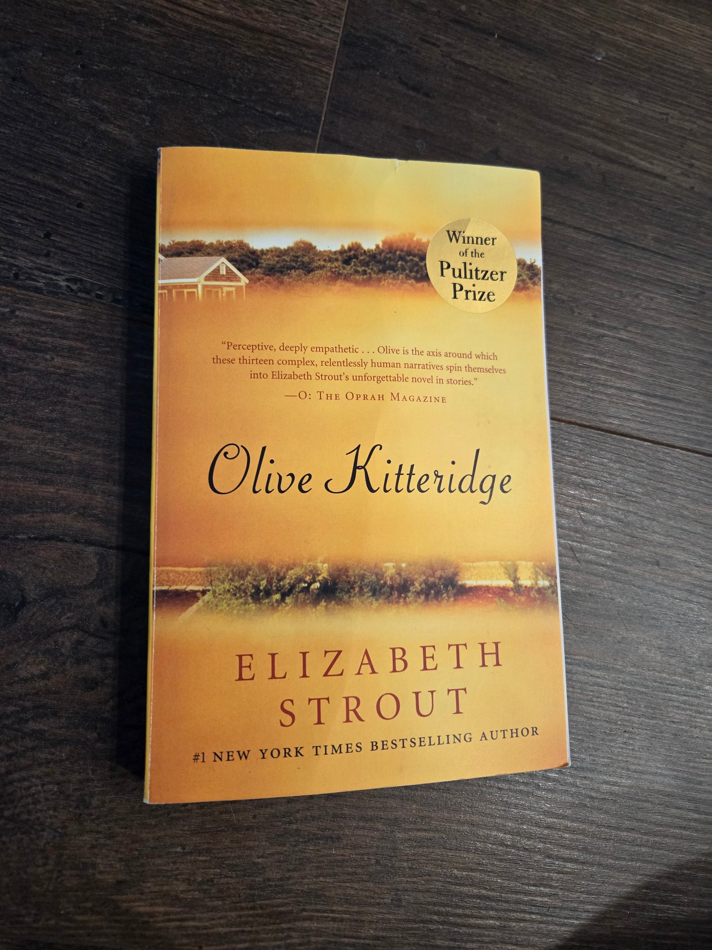 Olive Kitteridge by Elizabeth Strout