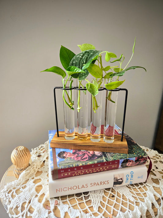 Test Tube Propagation Station: 4 Tubes with Plants