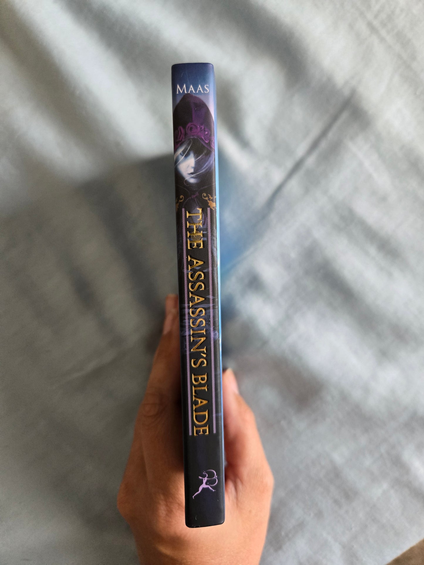 The Assasins Blade Miniature by Sarah J Maas