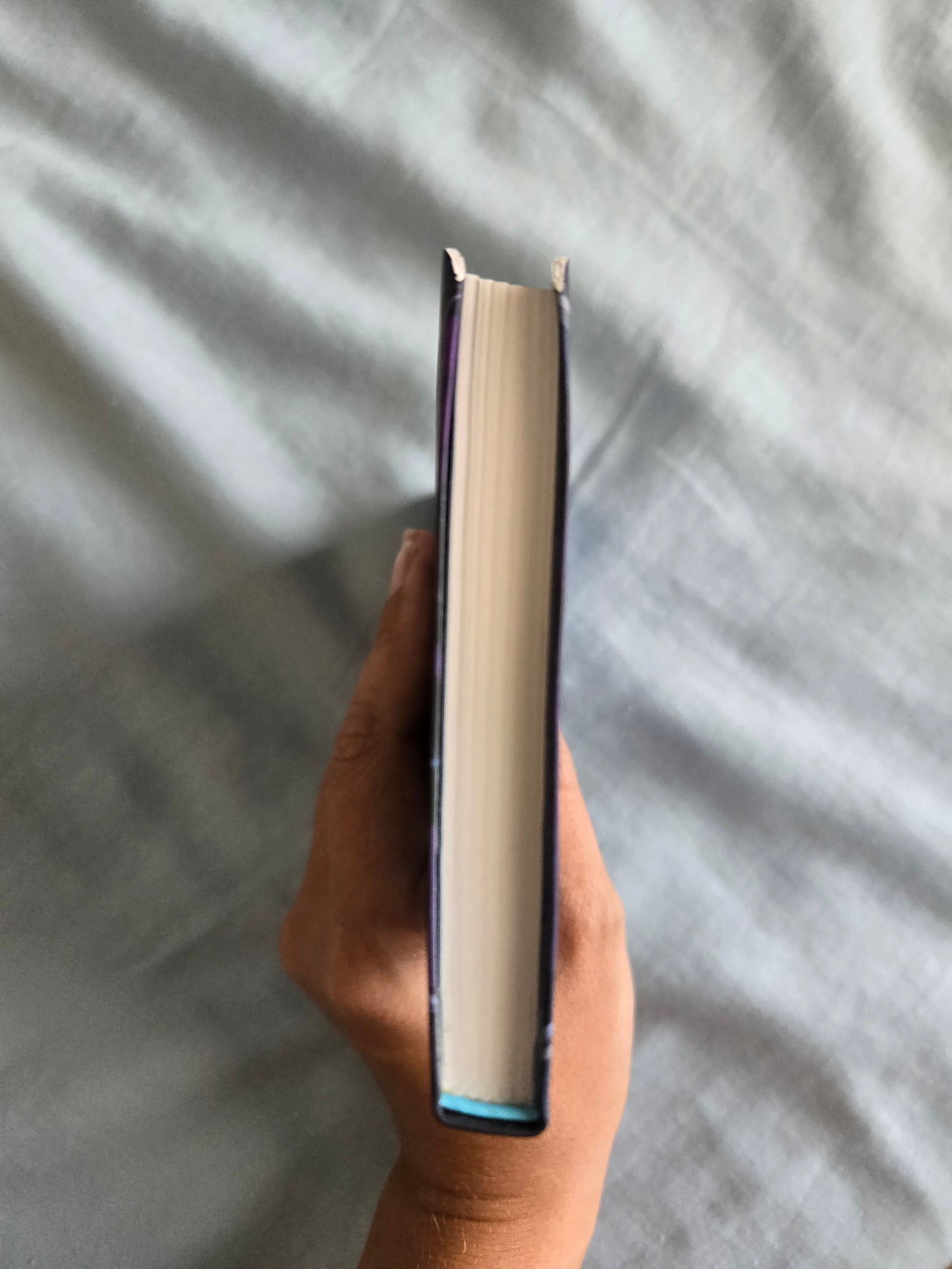 The Assasins Blade Miniature by Sarah J Maas