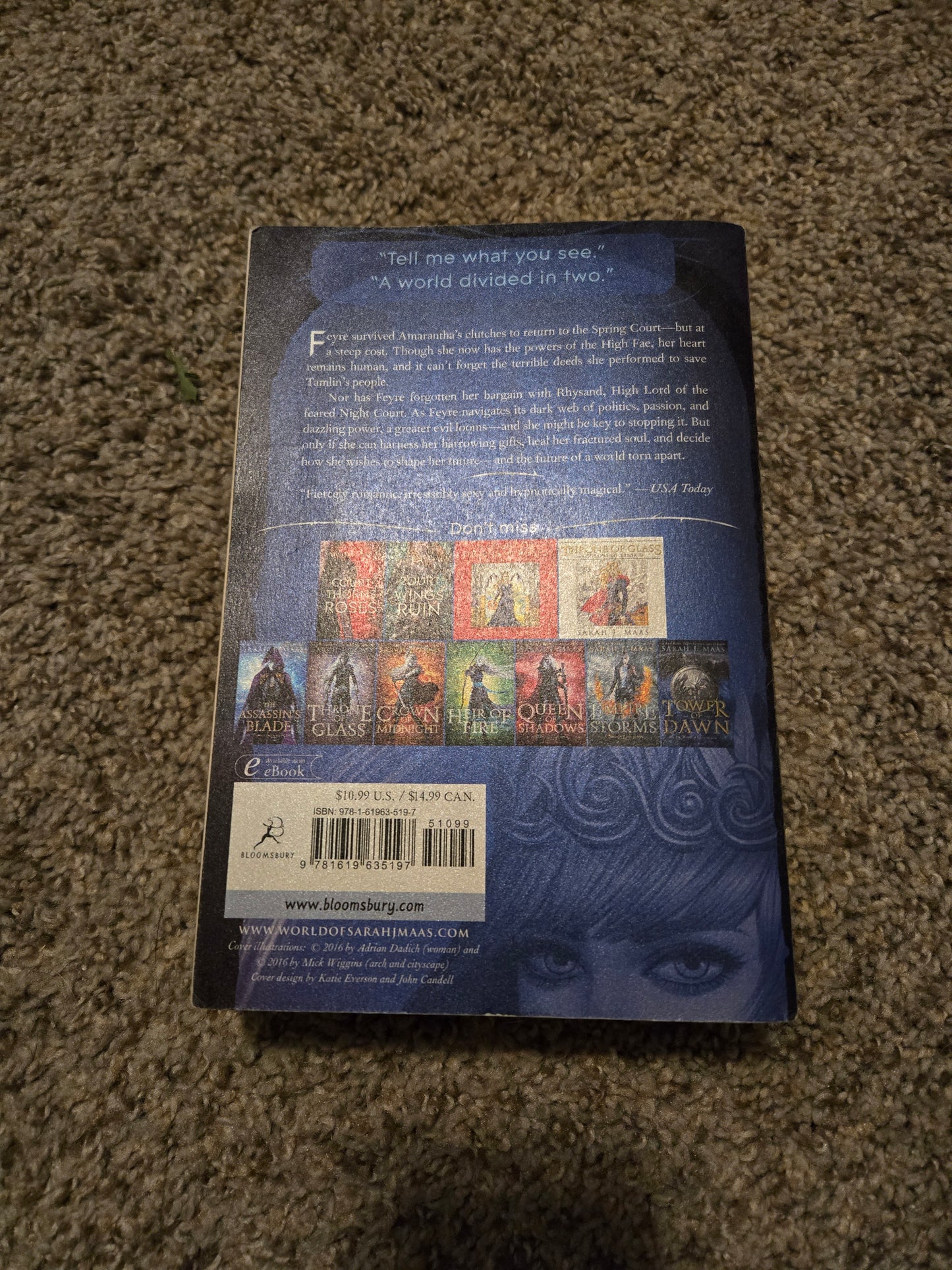 OOP A Court of Mist and Fury by Sarah J Maas