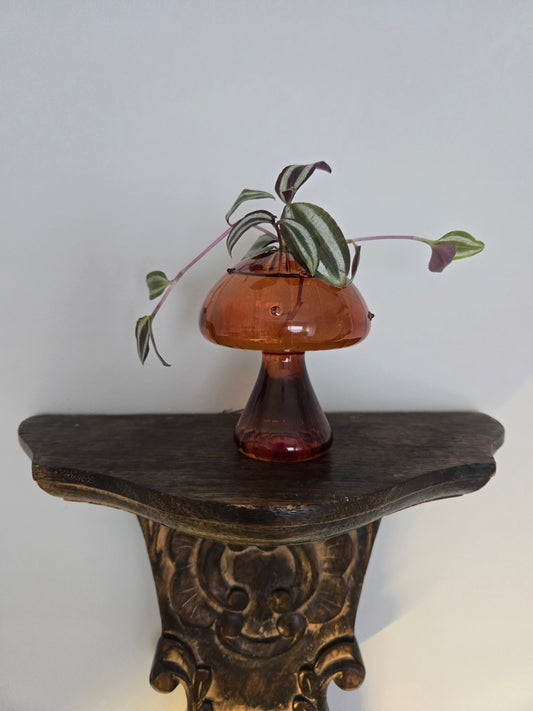 Brown Mushroom Arrangement
