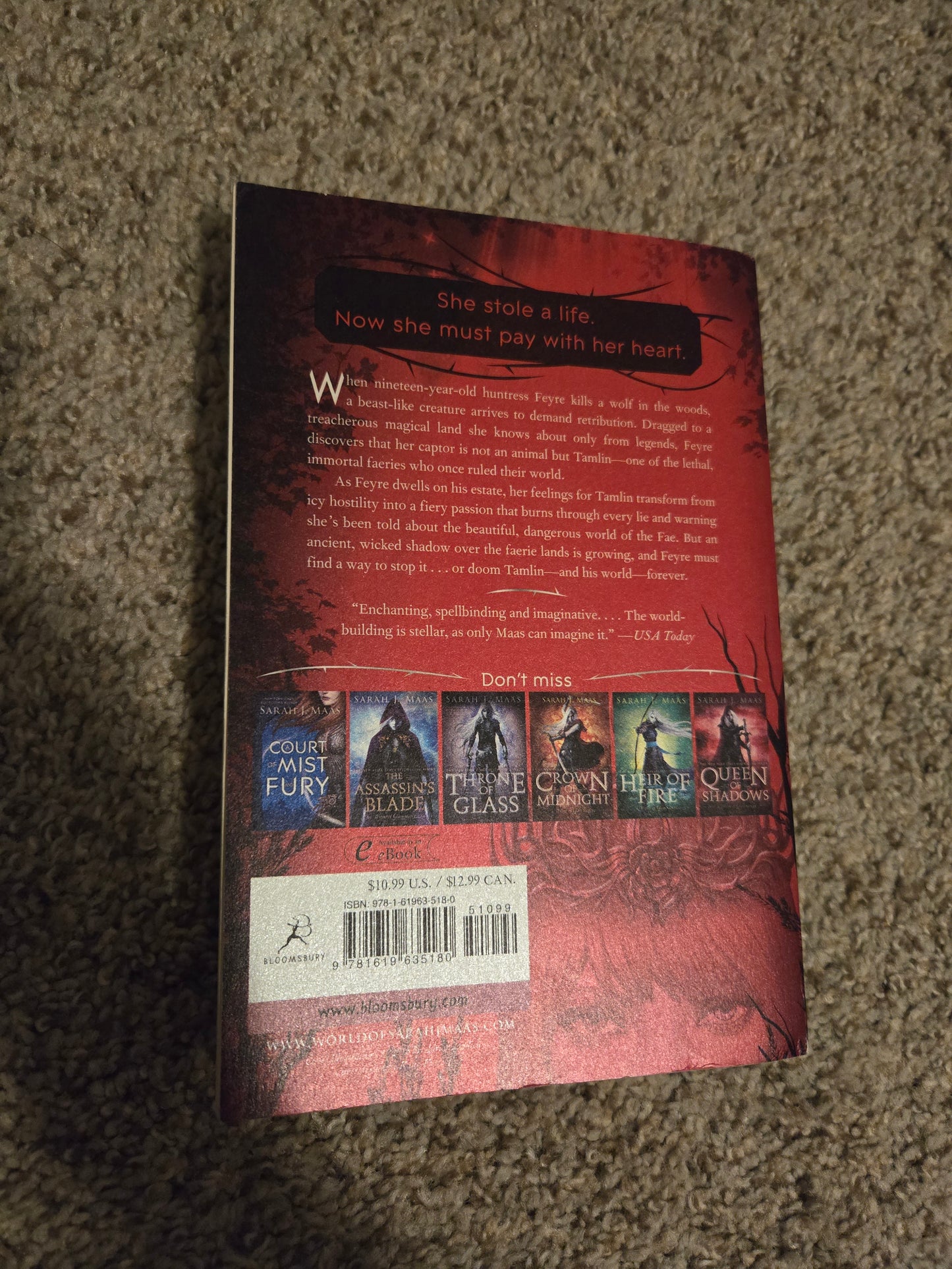 Paperback OOP A Court of Thornes and Roses