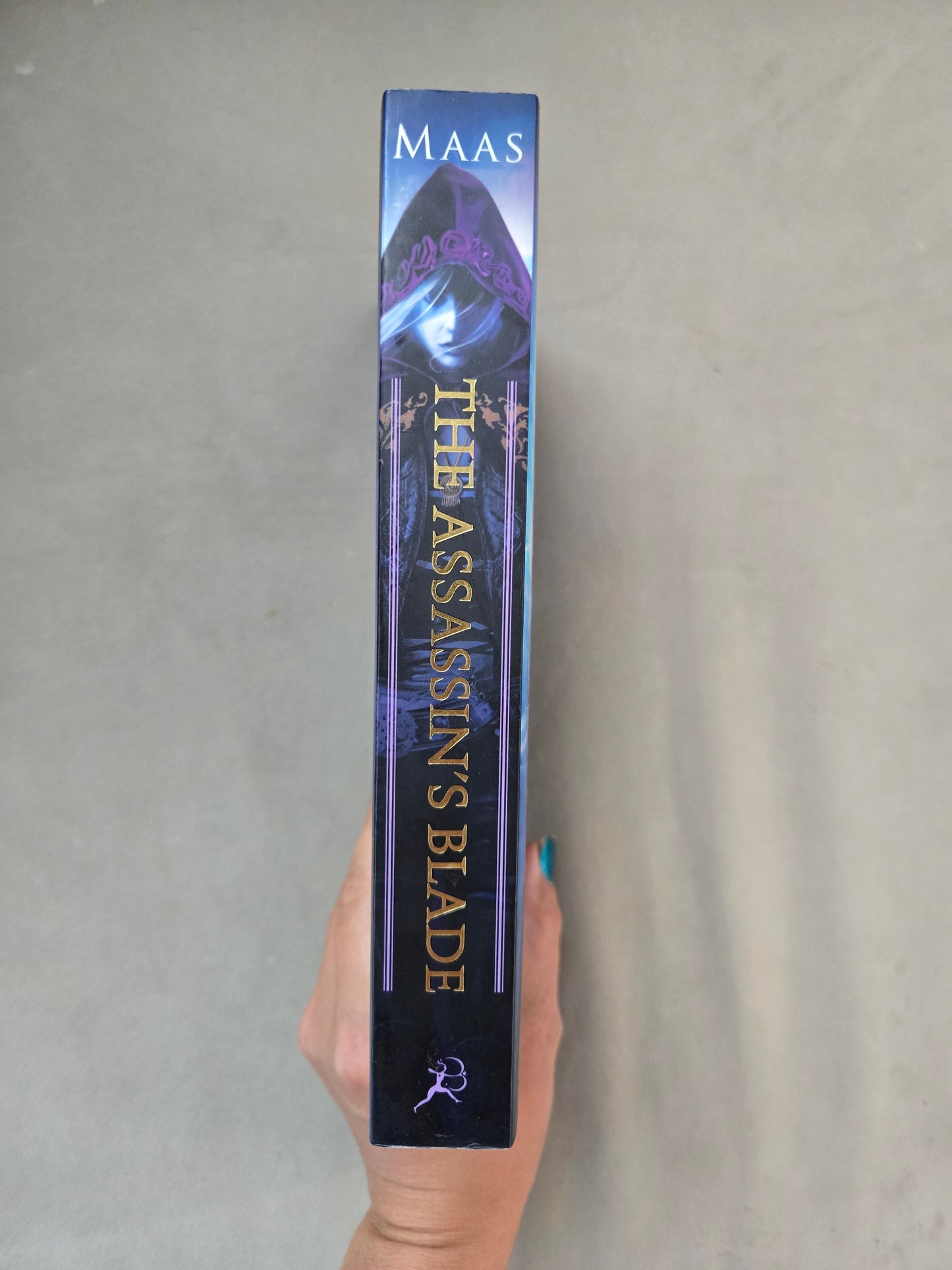 OOP The Assasins Blade