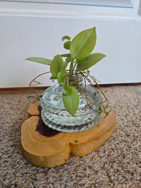 Short Oil Lamp Arrangement