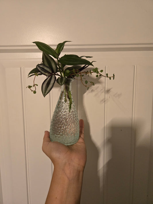 Bubbled Glass Small Arrangement