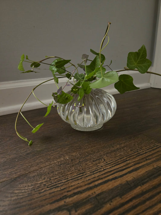 Short Whimsical Arrangement