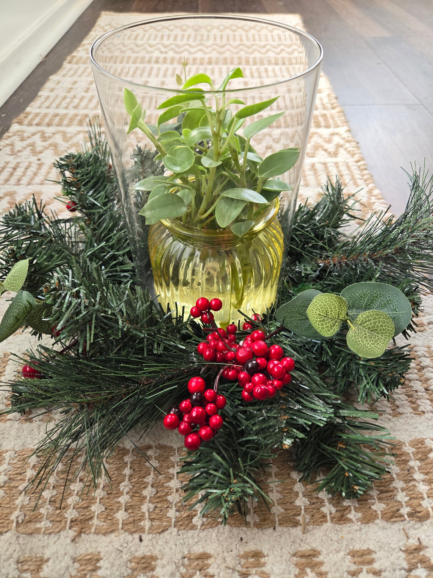 Christmas Center Piece Propagation