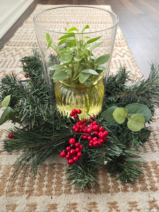 Christmas Center Piece Propagation