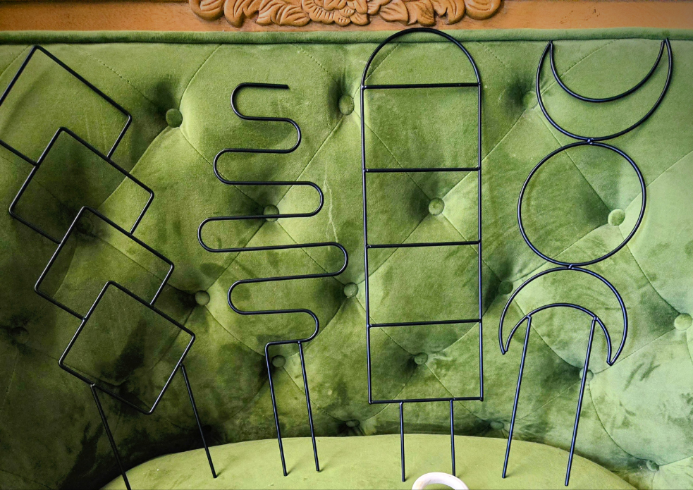 Indoor Plant Trellis