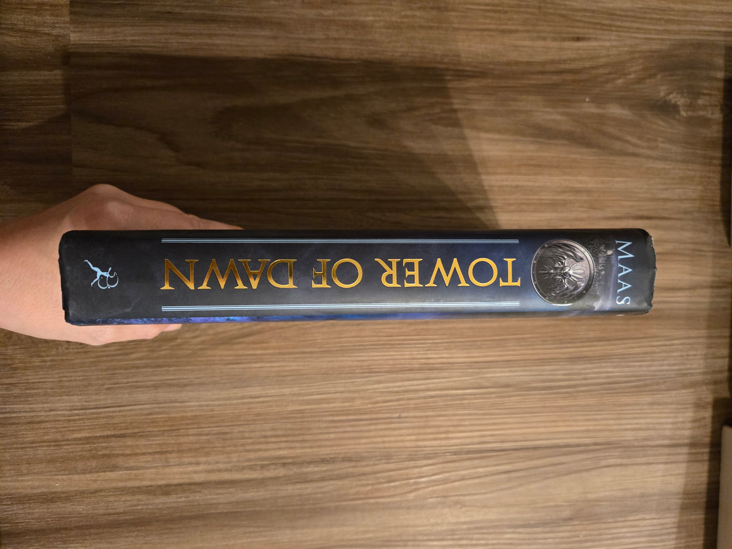 B&N Tower of Dawn
