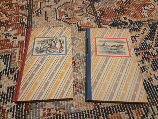 Vintage Alice In Wonderland Illustrated Edition Box Set