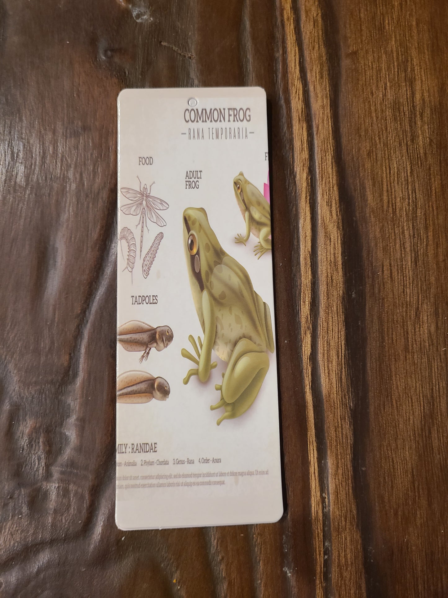 Vintage and Nature Themed Bookmarks