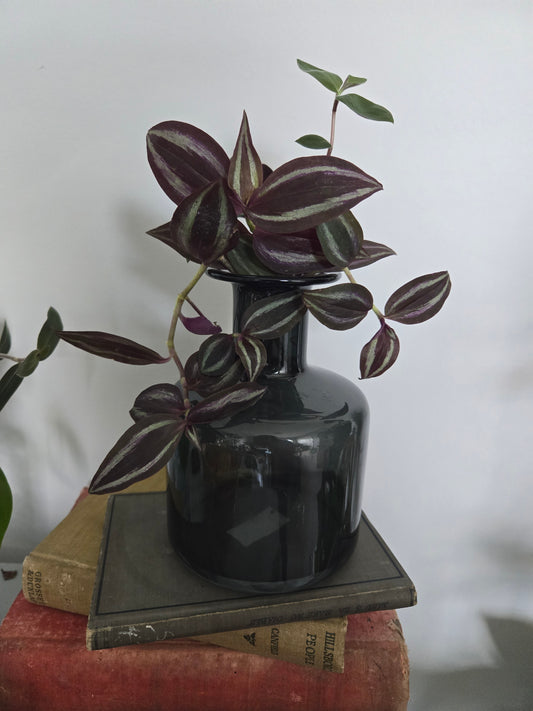 Black Modern Arrangement