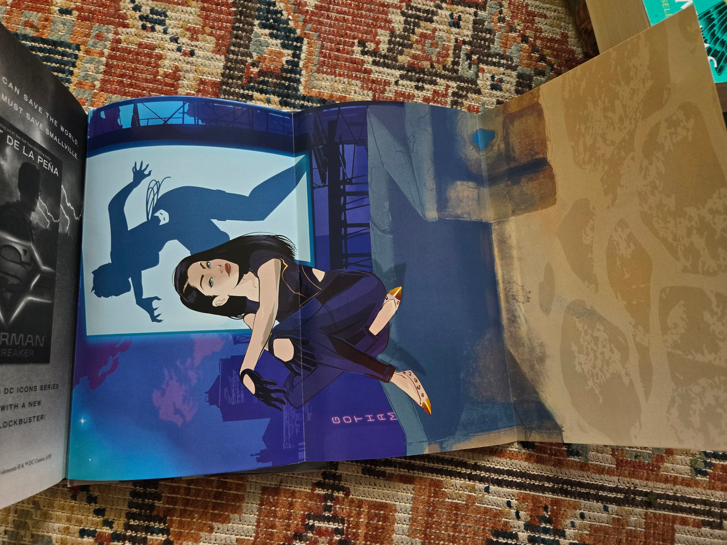 Library Copy Collectors Edition Catwoman Soulstealer by Sarah J Maas
