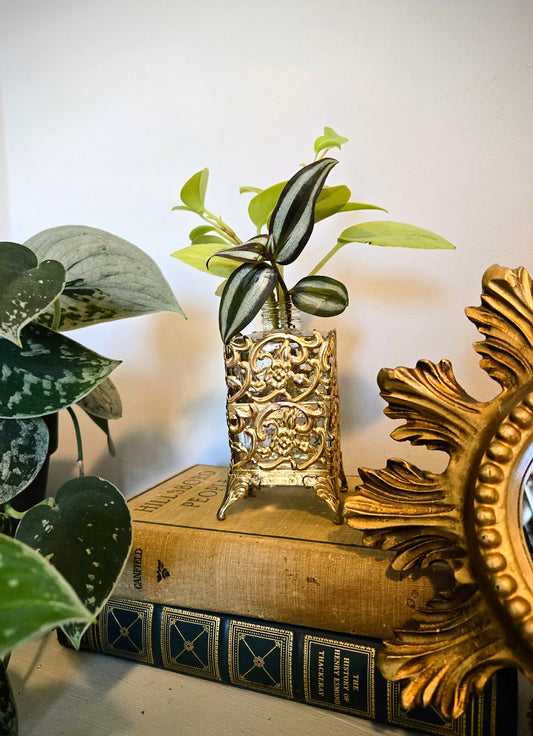 Antique Perfume Bottle Arrangement