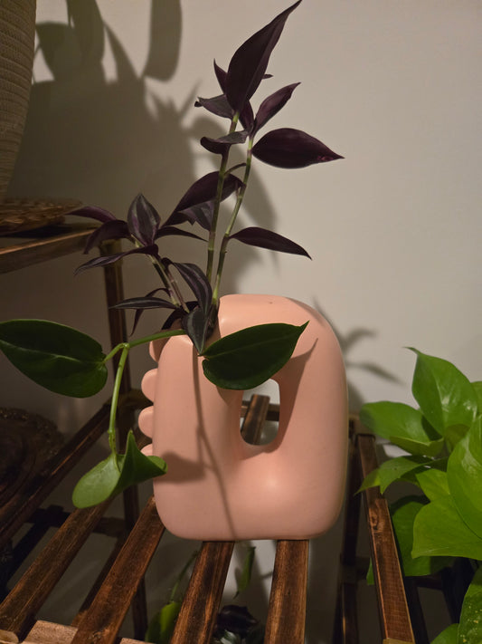 Pink Dino Arrangement