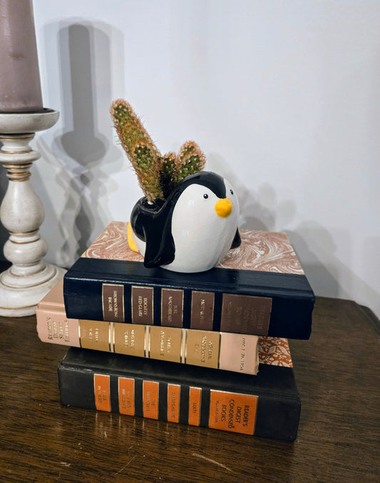 Penguin Cactus