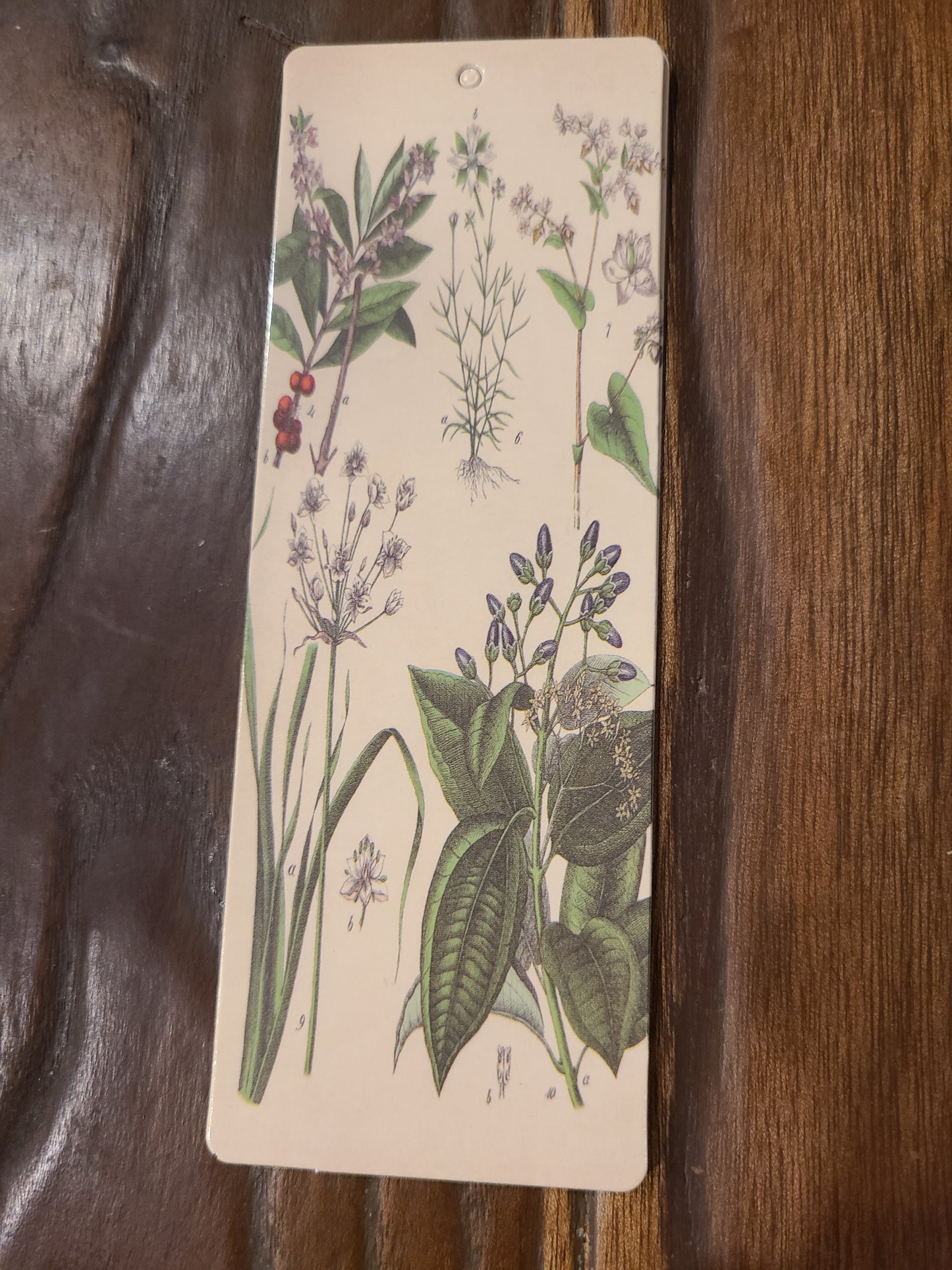 Vintage and Nature Themed Bookmarks