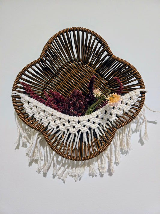 Air Plant Wall Basket Macrame