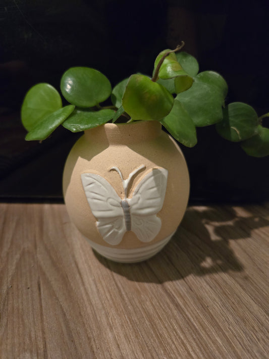 Butterfly Minis