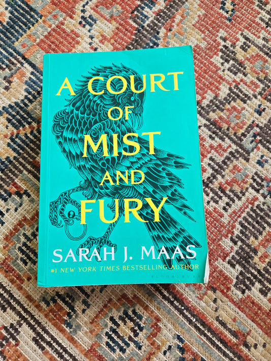 A Court of Mist and Fury by Sarah J Maas