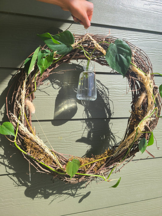 Living Wreaths with Brazil Philodendron