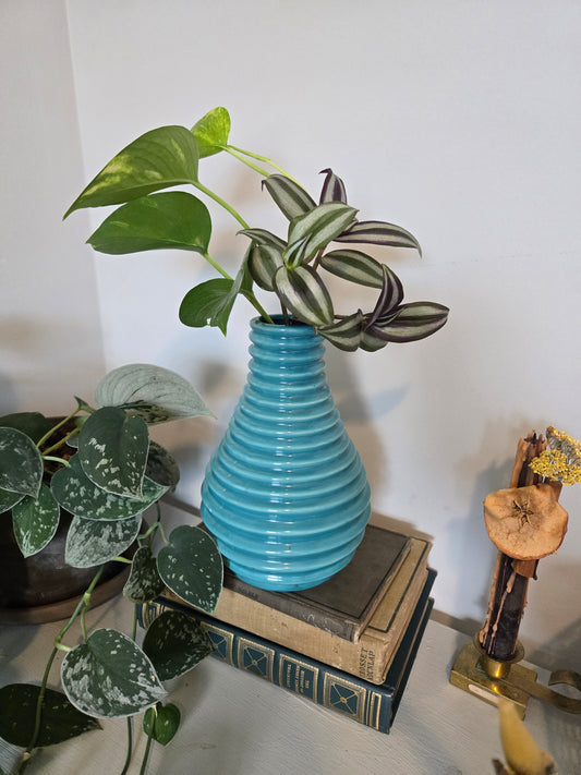 Blue Waved Arrangement