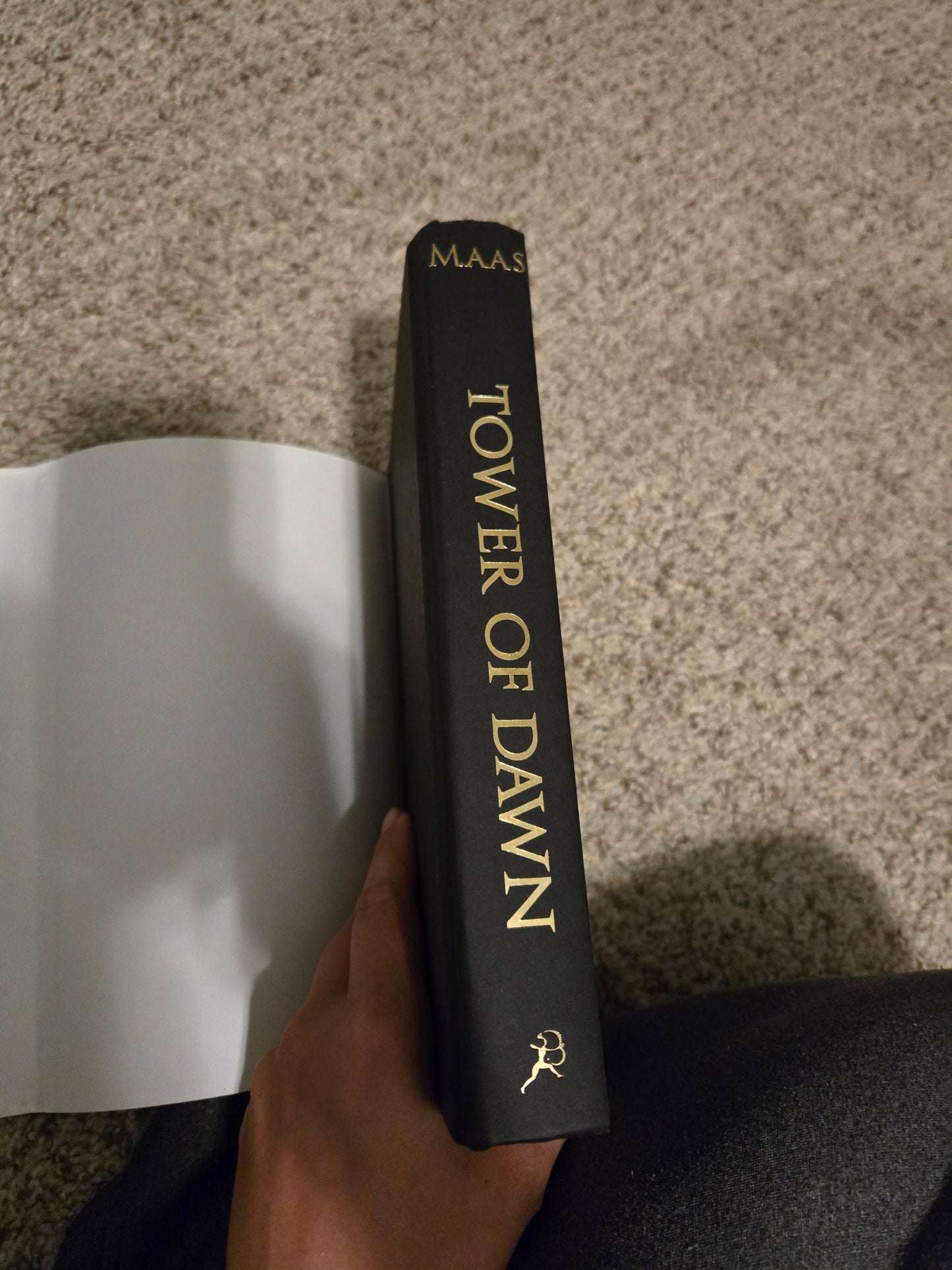OOP Tower of Dawn