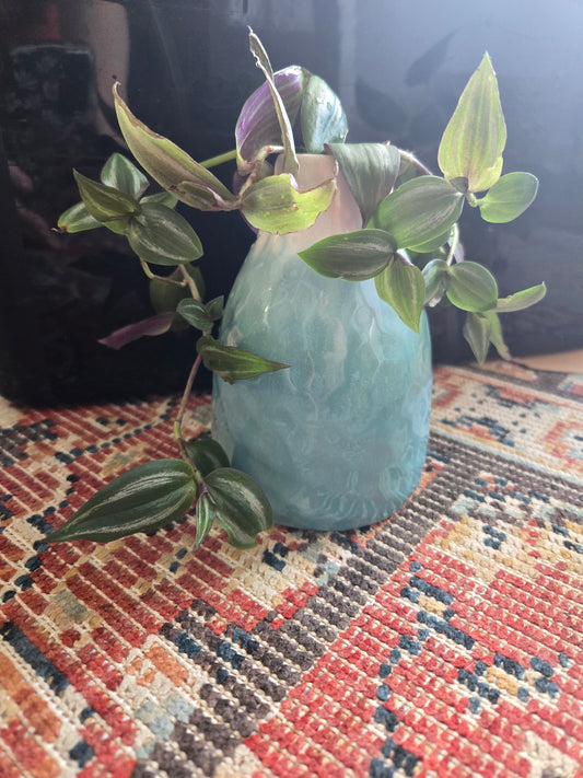 Light Blue and Wandering Dudes