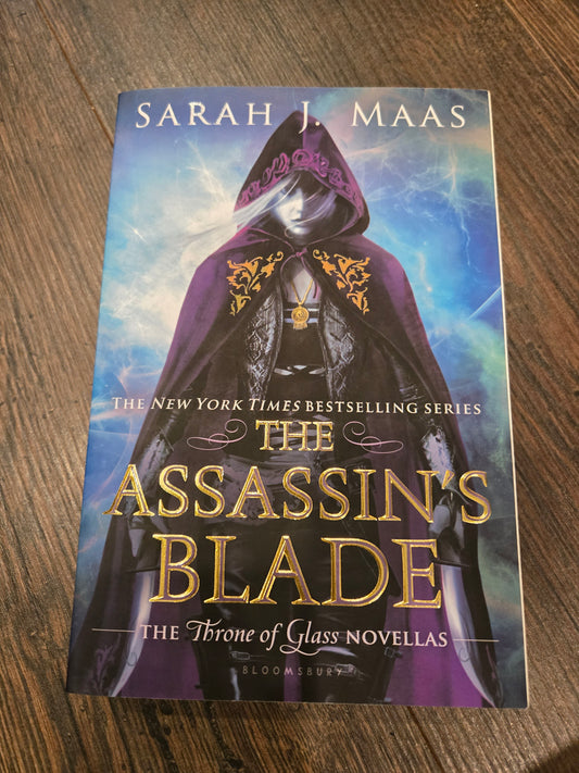 Assasins Blade OOP
