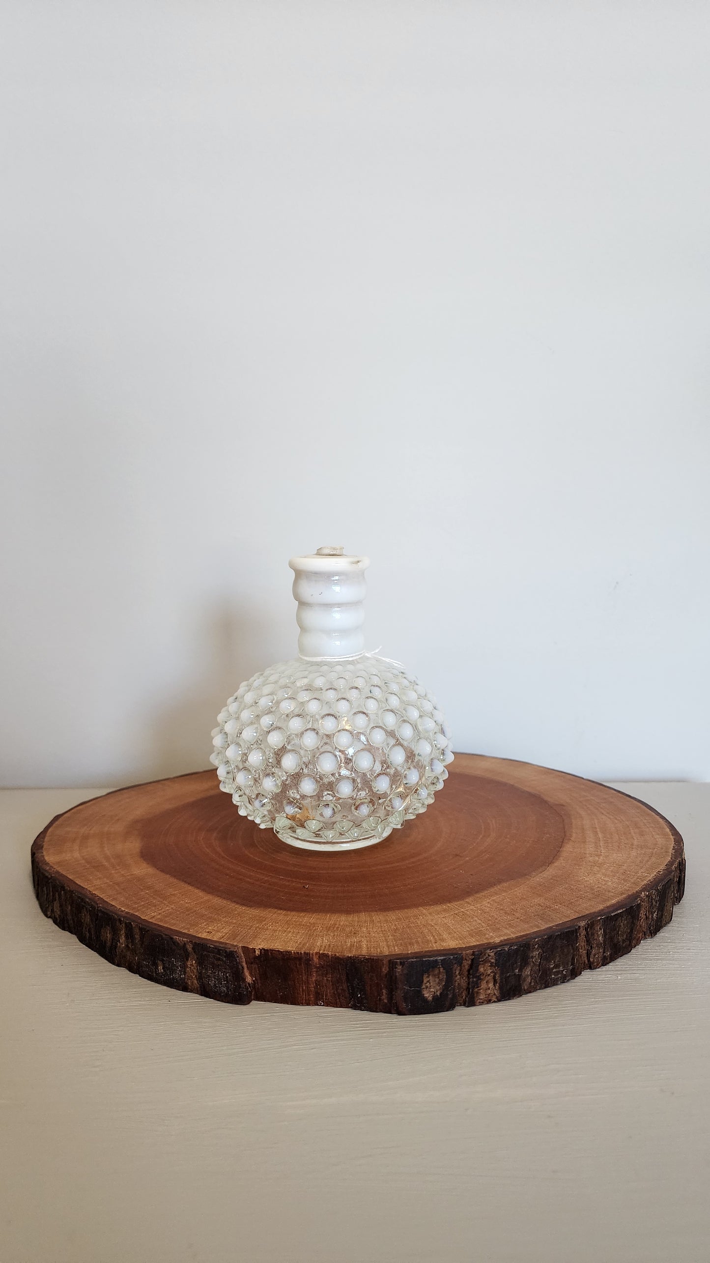 Plant Arrangements- Blown Glass Clear and White Fenton and Brazil Philodendron