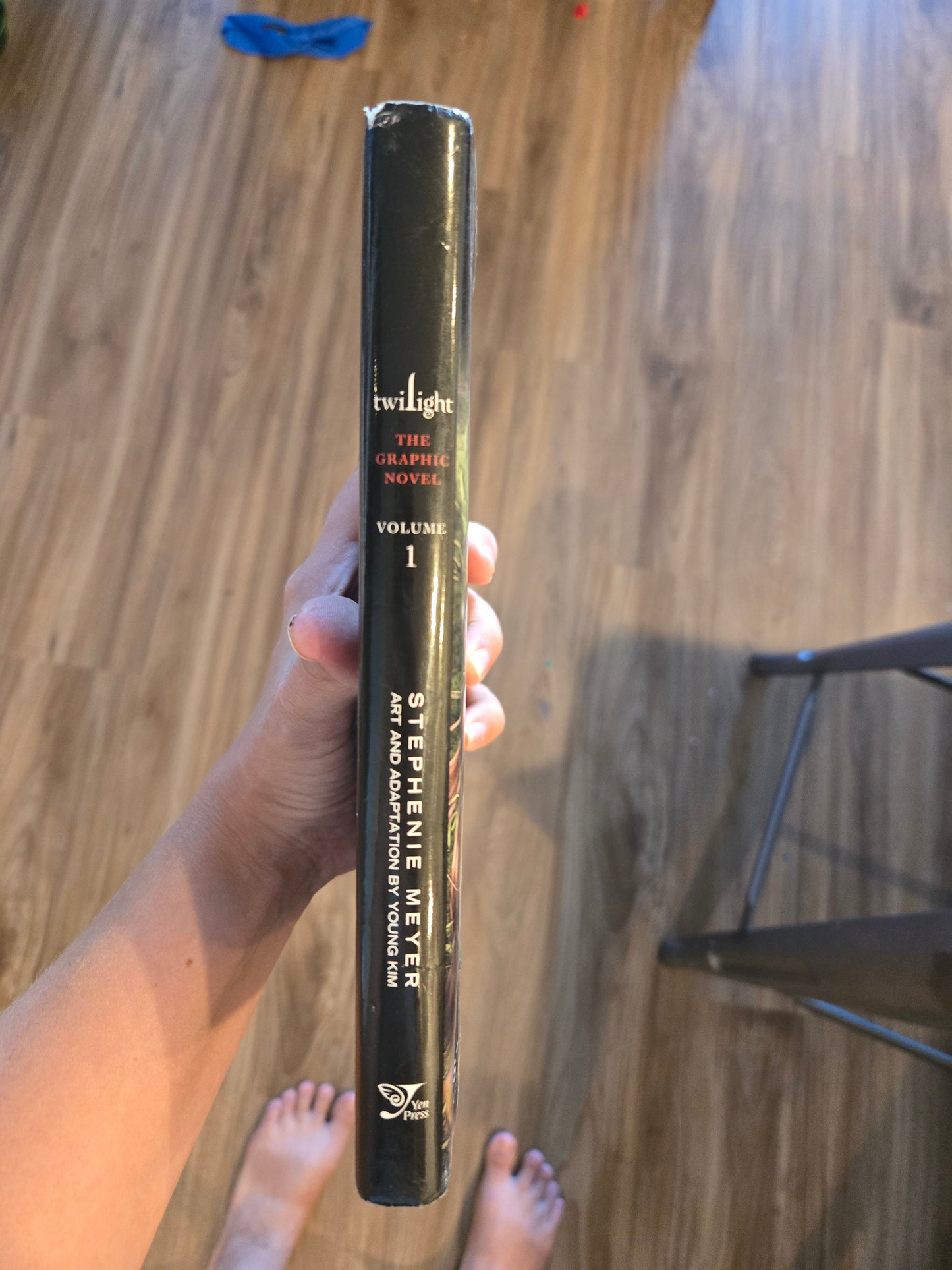 Twilight Graphic Novel 1
