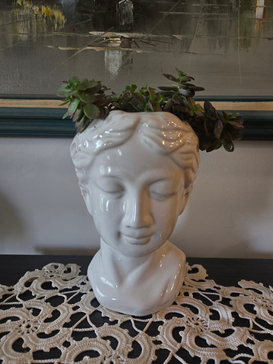 Large Succulent Bust Arrangement