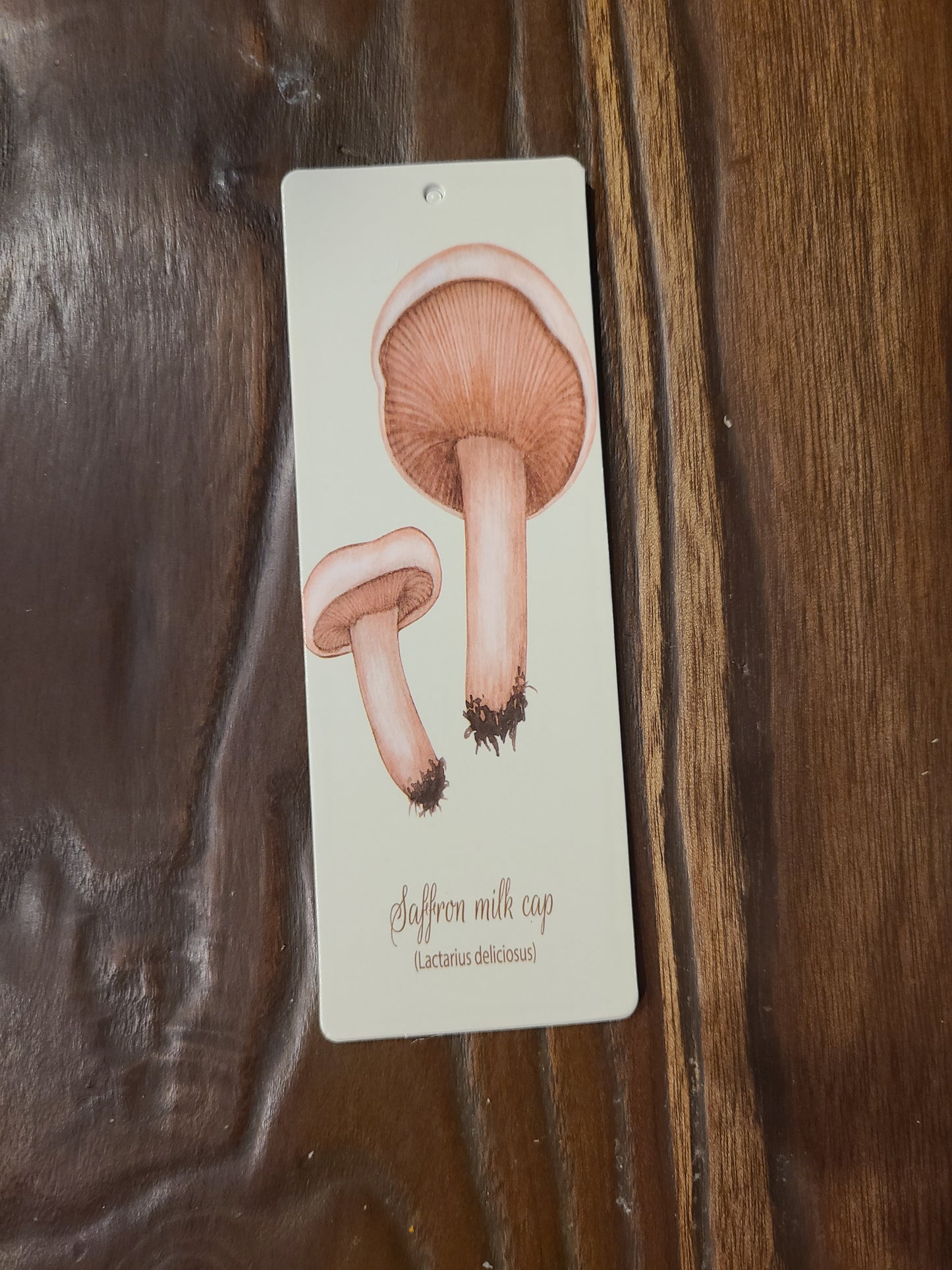Vintage and Nature Themed Bookmarks