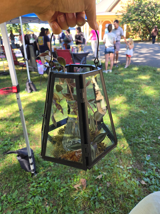 Lantern